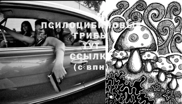 марки lsd Бородино